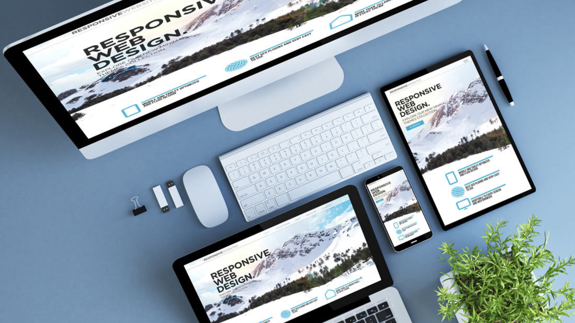 Professional Web Design and Development Services