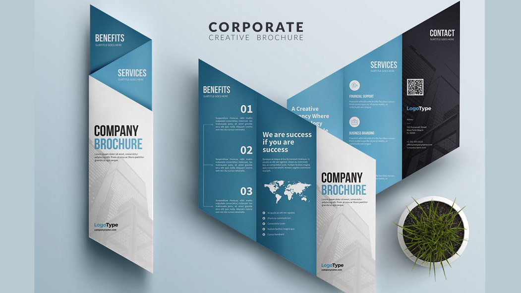Top Brochure Design Examples